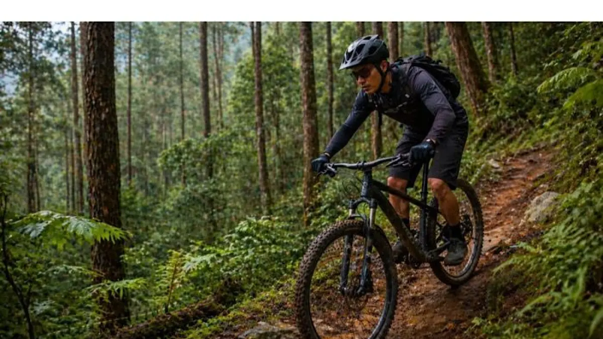 Polygon Kalosi Lanes Evo hadir dengan mesin Bosch, baterai 545 Wh, dan desain lembayung premium di harga Rp23 jutaan.(pinterest)
