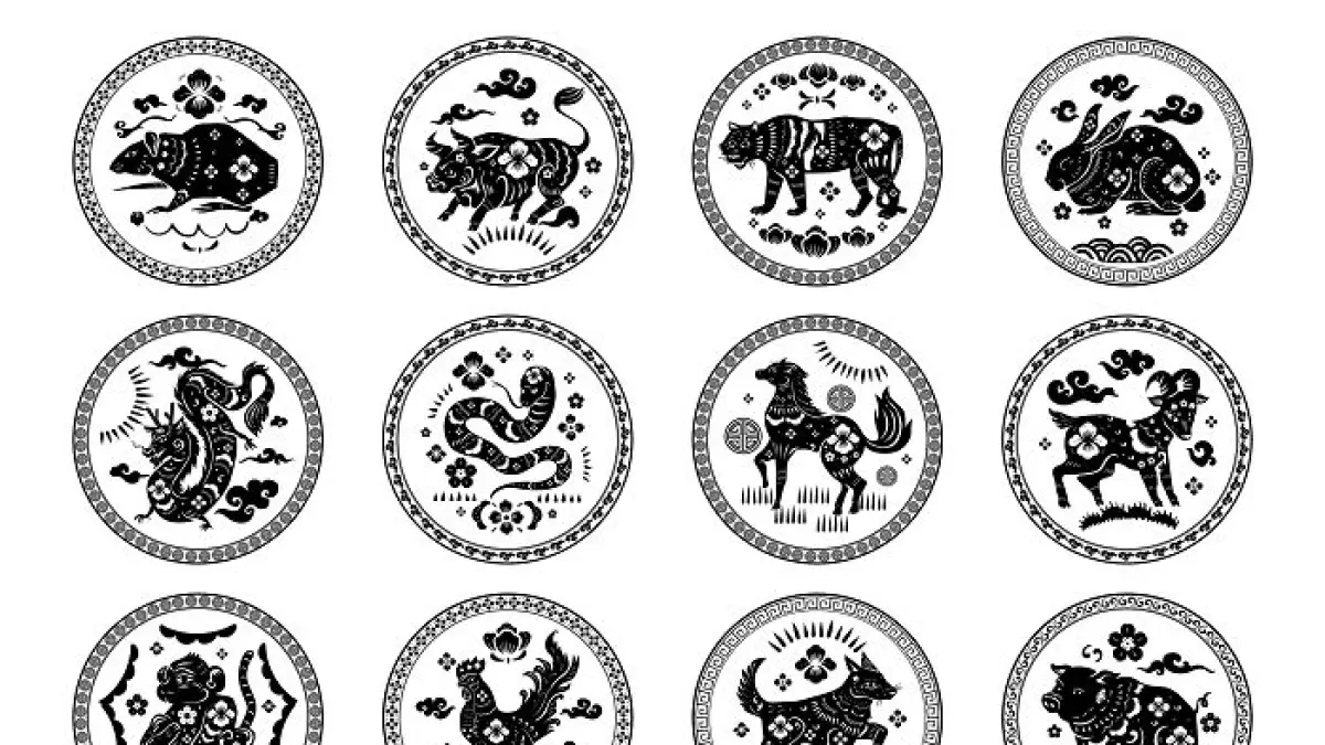 Dragon zodiac business forecasts for 2026 predict global expansion and leadership opportunities.(Pinterest)
