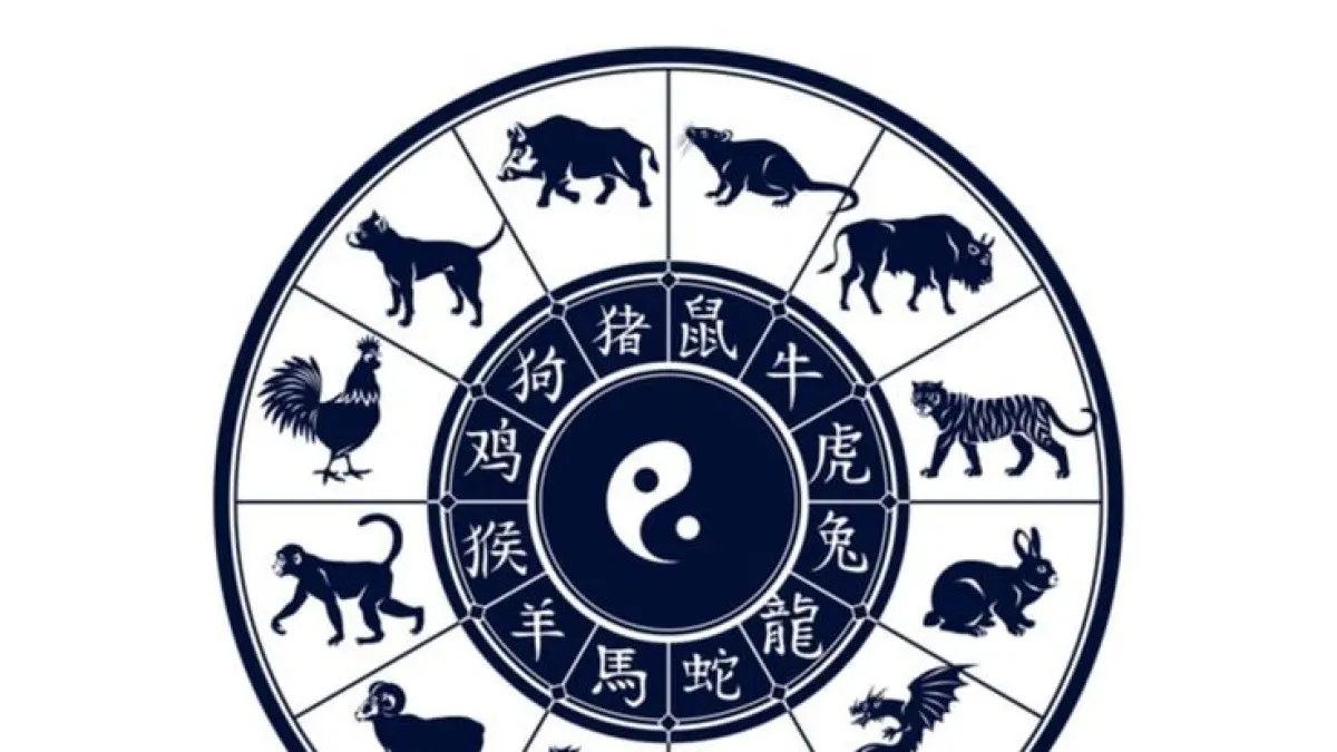 Rabbit zodiac business predictions for 2026 favor creative industries, branding, and digital growth.(Pinterest)