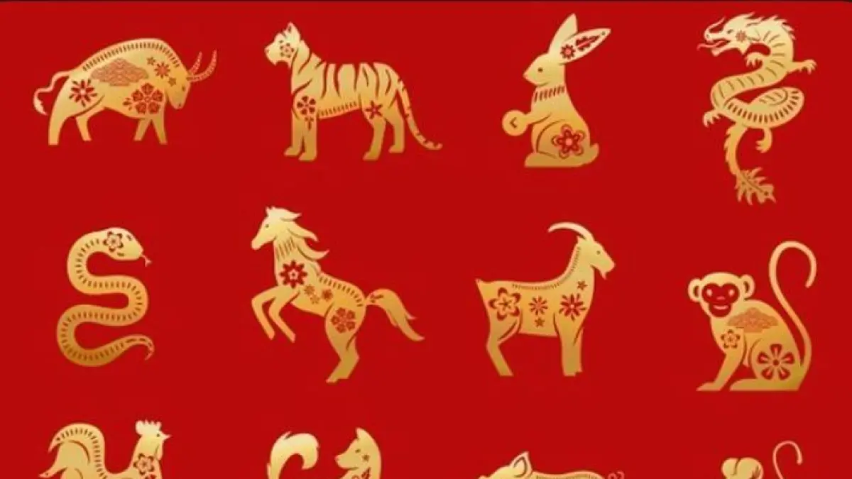 Ramalan Shio Kelinci, Naga, dan Ular 2026 prediksi panen uang dan naik jabatan. Waspada bahaya kebakaran rumah dan spekulasi keuangan!(Pinterest)