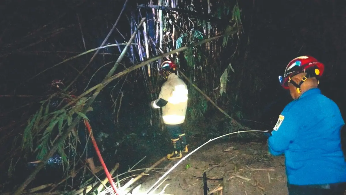 Petugas damkar memadamkan api yang melalap rumpun bambu di Desa/Kecamatan Ngunut pada Kamis (21/5/2026) petang.(DPKP UNTUK RADAR TULUNGAGUNG)