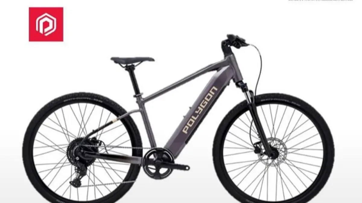 Polygon Gili Meno E-Bike 2025 hadir dengan motor 250 watt, jarak tempuh 95 km, dan suspensi nyaman untuk touring. (Pinterest) 