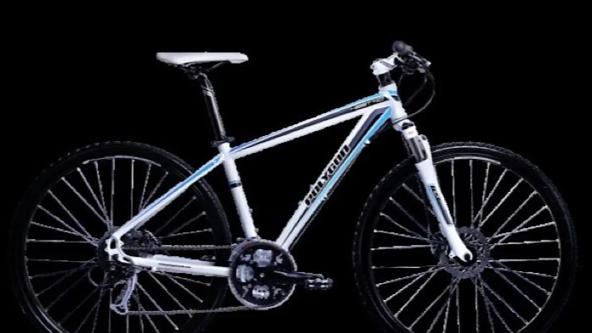Sepeda e-bike 2026 jadi tren baru di Rodalink Serpong, solusi hemat tenaga untuk pemula hingga komuter harian.(pinterest)