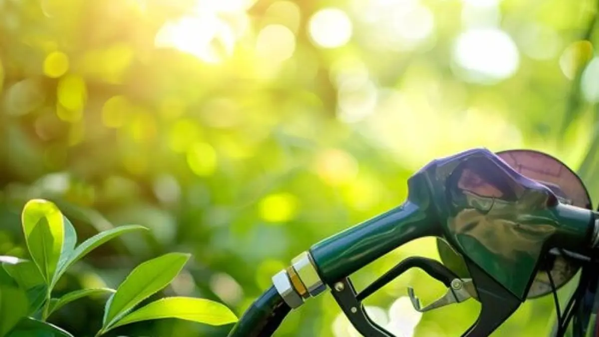 Pertalite 1 Juni 2026 ramai dibahas. Benarkah mobil di atas 1.400 cc dilarang beli Pertalite? Simak fakta resmi dari Pertamina. (PINTEREST)