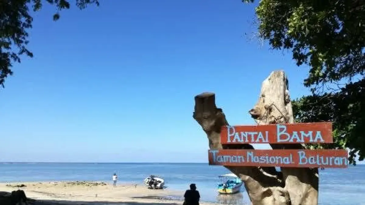 Taman Nasional Baluran dan Pantai Bama menawarkan wisata savana, satwa liar, dan pantai eksotis dalam satu kawasan (Pinterest).