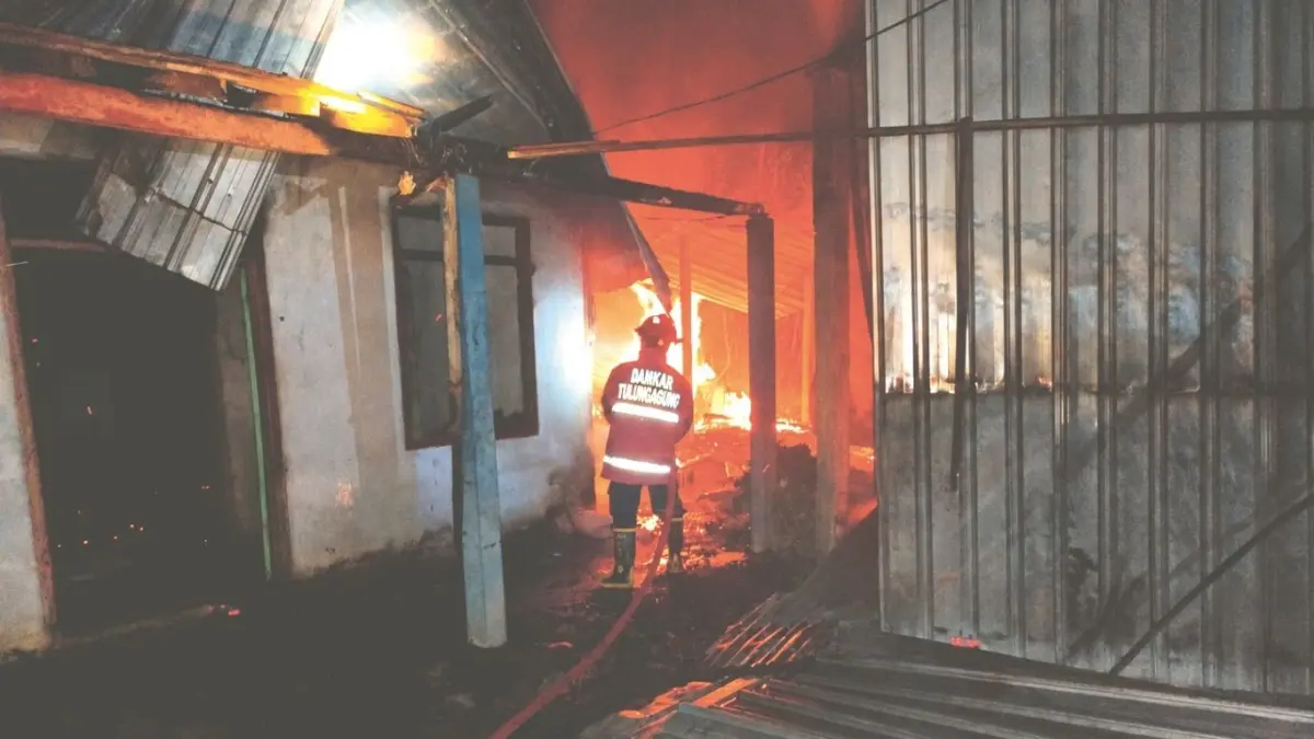 Api melalap rumah dan kandang milik Mukono, warga Desa Picisan, Kecamatan Sendang, Tulungagung, pada Rabu (10/6) dini hari.(DPKP UNTUK RADAR TULUNGAGUNG)