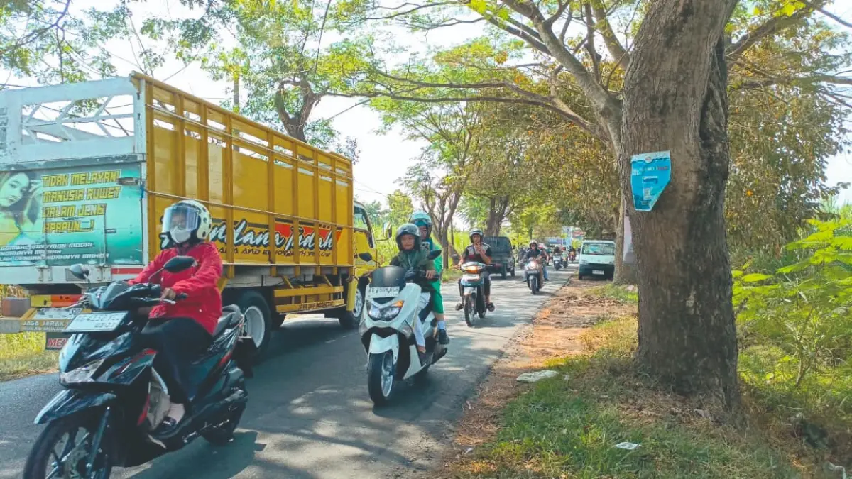 Kondisi jalur alternatif antara Jetakan-Simpang Empat Cabe yang selalu dipenuhi kendaraan bermotor selama penggantian Jembatan Gondang 1 Tulungagung.(RAHIIQ AL BACHRI/RADAR TULUNGAGUNG)