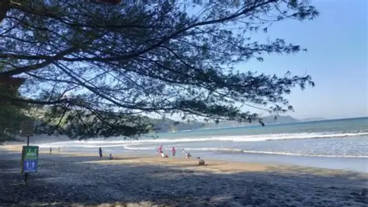 Pantai Sine Tulungagung menawarkan camping, wisata perahu, ATV, dan kuliner seafood segar yang cocok untuk liburan keluarga (Pinterest).