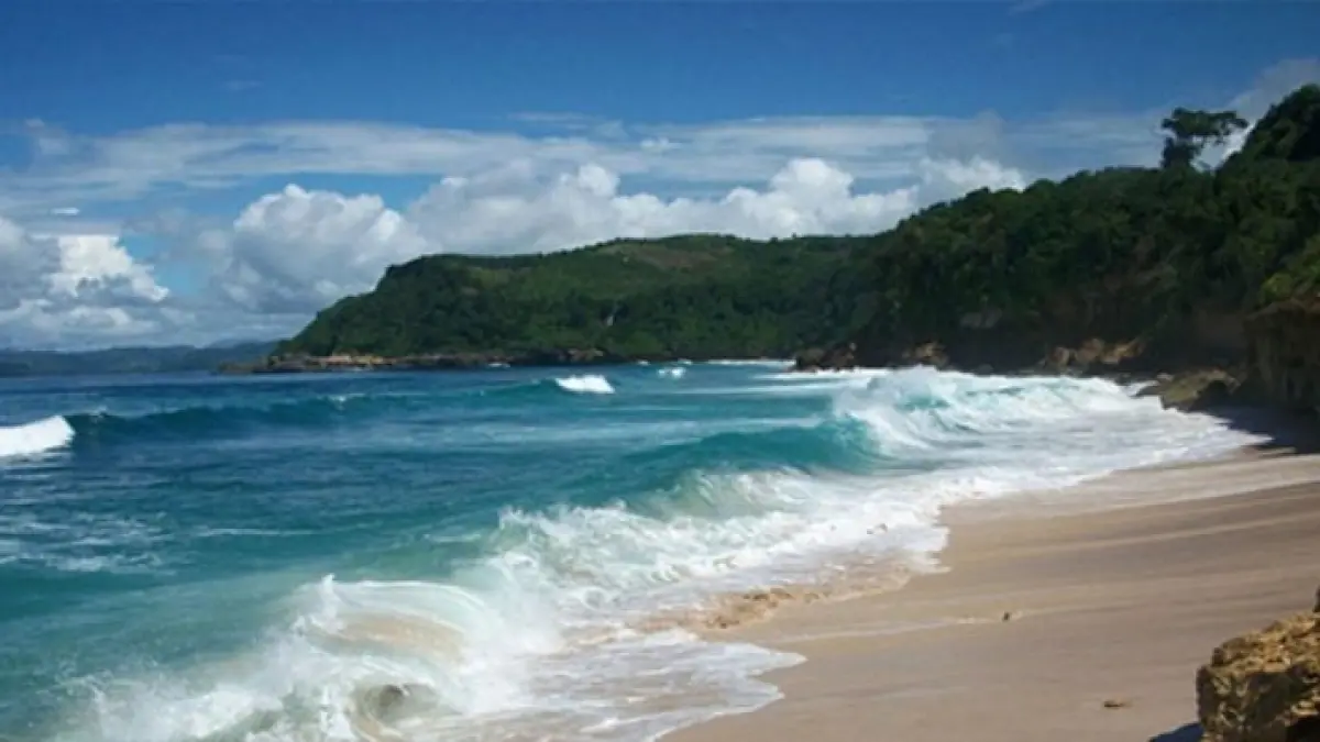 Pantai Sine Tulungagung menawarkan panorama Samudra Hindia, ATV, camping, hutan pinus, dan kuliner tebing JLS yang memikat (Pinterest).