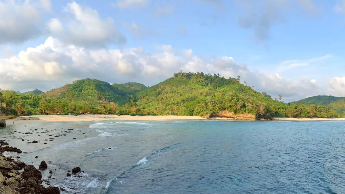 Pantai Sine Tulungagung menawarkan tiket murah, camping, pohon cemara rindang, dan seafood segar mulai Rp30 ribuan (Pinterest).
