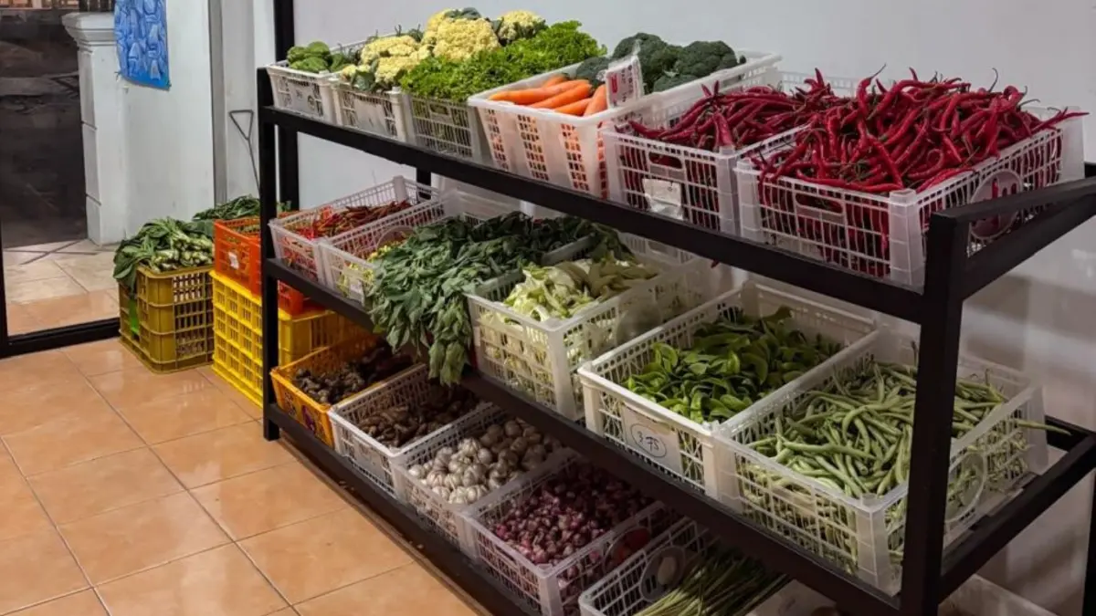 Toko Sayur 
Segar Lestari 
menyediakan berbagai 
sayur segar untuk 
warga ngunut dan 
sekitarnya.