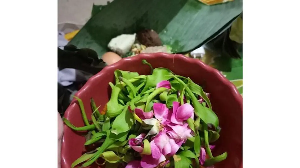 Kembang Sore Tulungagung kembali jadi sorotan. Sesepuh ungkap sejarah, kejayaan, dan kondisi terkini yang memprihatinkan.()pinterest)