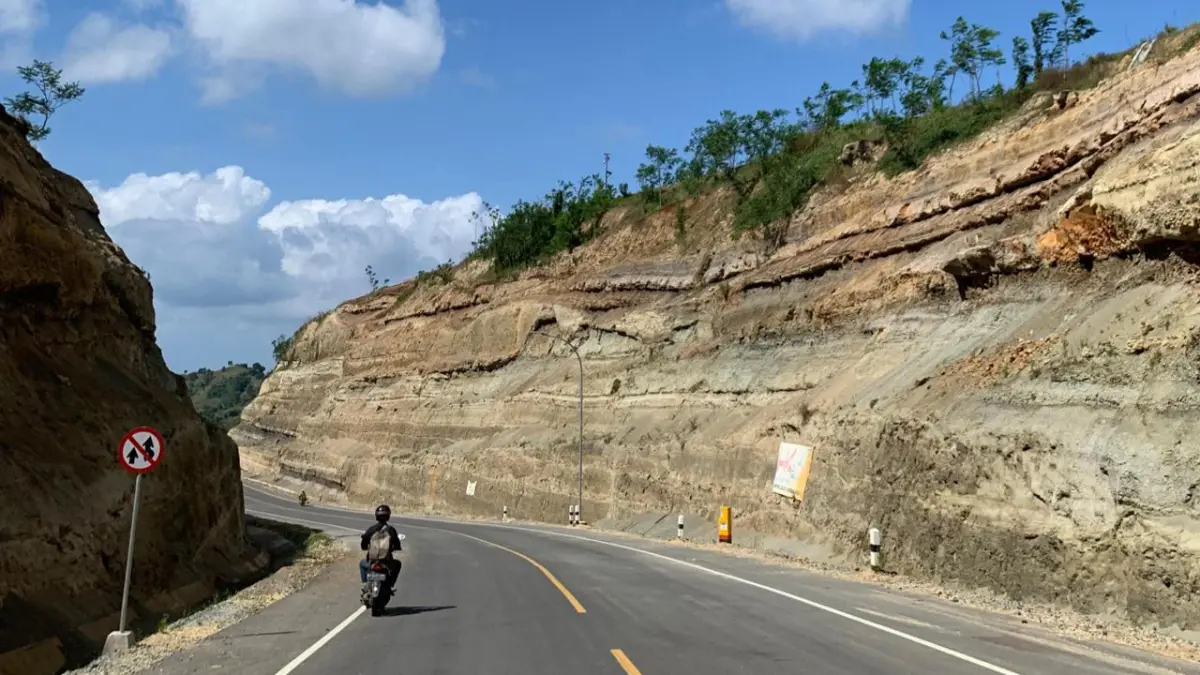 Pengelolaan 
kawasan hutan 
di sepanjang 
JLS masih 
harus dipetakan 
lagi menyusul perubahan 
kewenengan 
dari Perhutani 
ke Kementerian 
Kehutanan.(SANDY YUWANA/RADAR TULUNGAGUNG)