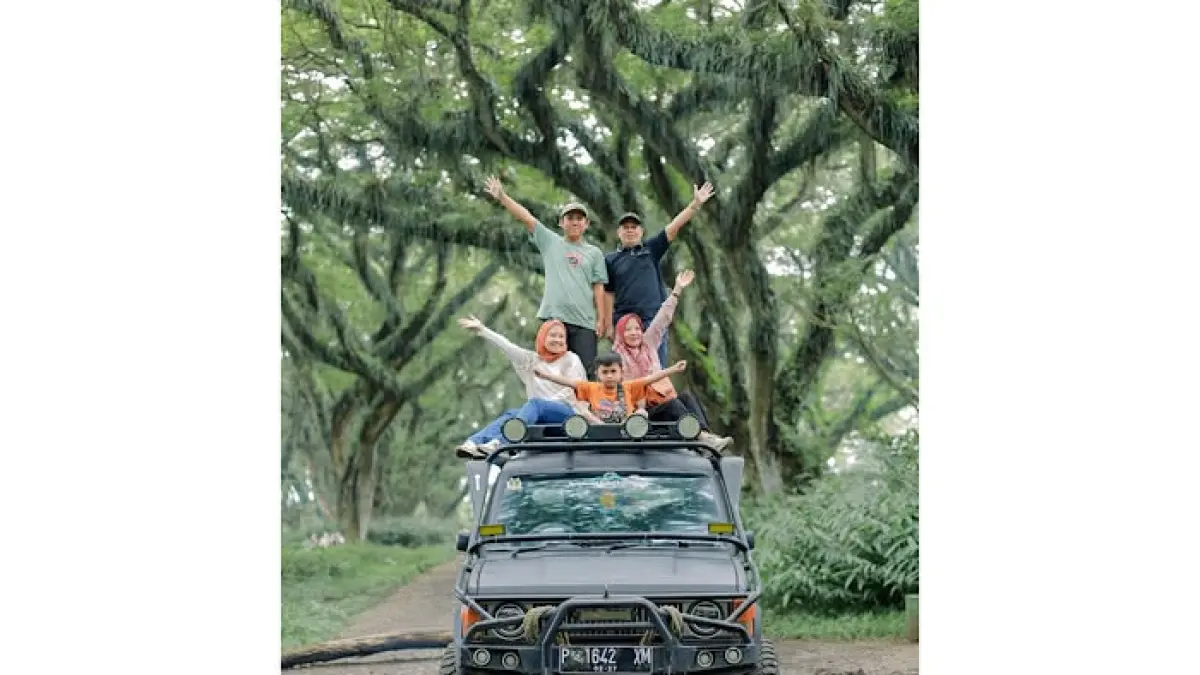 Tempat wisata Banyuwangi terbaru 2026 paling viral. Ada Kawah Ijen, De Djawatan, Baluran, hingga Pantai Plengkung yang mendunia.(pinterest)