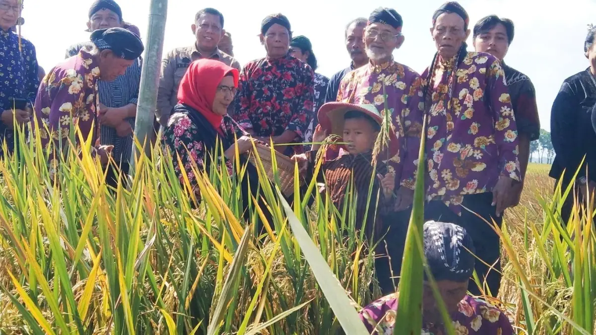 Prosesi tradisi Miwiti Panen lam Methik Kaki Sedono Nini Sedono di kawasan Taman Widawati, Desa Ngrendeng, Kecamatan Gondang.(KECAMATAN GONDANG UNTUK RADAR TULUNGAGUNG)