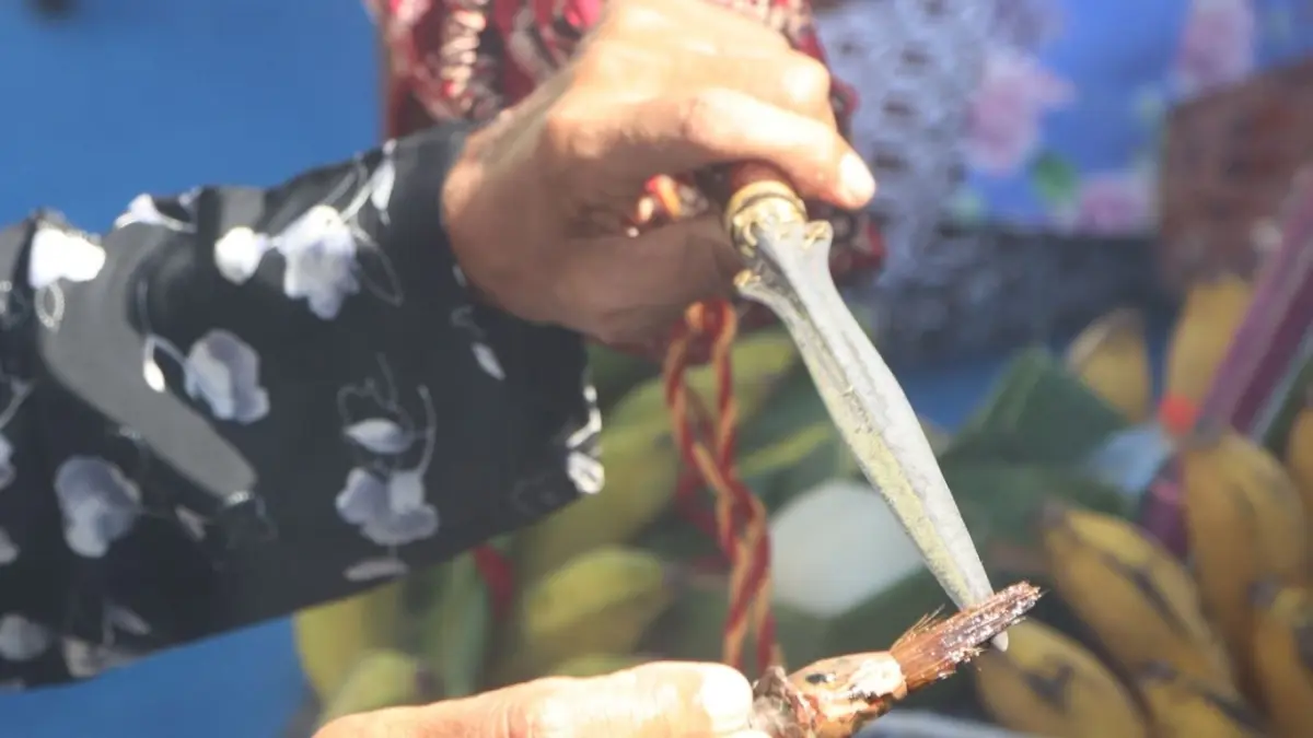 Tombak Kanjeng Kyai Upas merupakan pusaka tindih Kabupaten Tulungagung yang setiap tahun dijamas pada bulan Sura. Bersama dua objek lainnya, pusaka ini telah direkomendasikan TACB untuk ditetapkan sebagai cagar budaya.(SANDY YUWANA/RADAR TULUNGAGUNG)