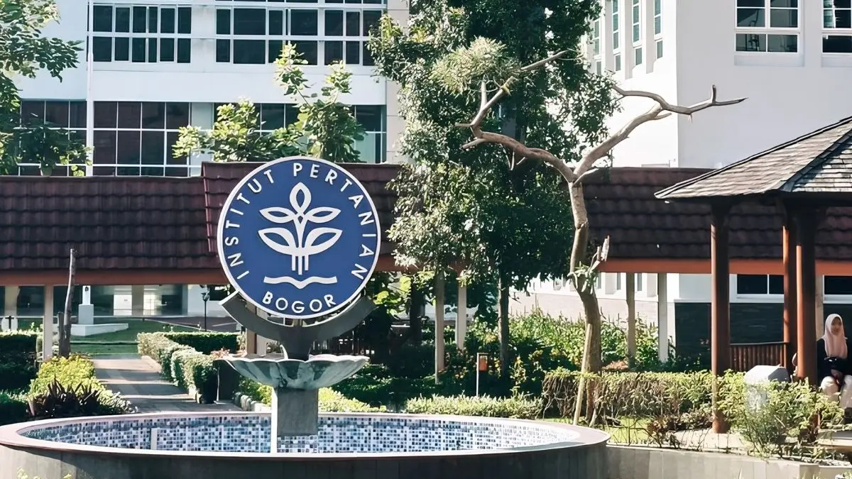 Universitas Terbaik di Indonesia versi THE WUR 2025 menempatkan UI di posisi teratas. Simak daftar lengkap 10 kampus terbaik beserta peringkat dunianya. (Pinterest)