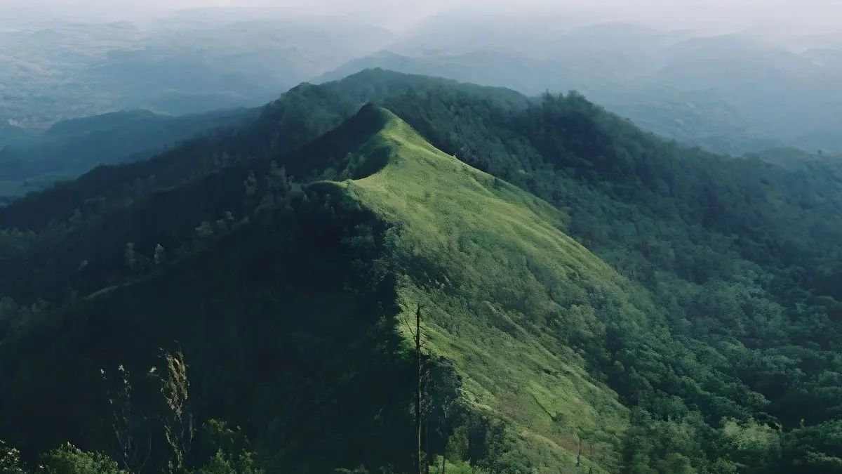 Gunung Wilis menawarkan panorama pegunungan, udara sejuk, dan wisata alam yang menjadi daya tarik bagi wisatawan di Jawa Timur. (Pinterest)