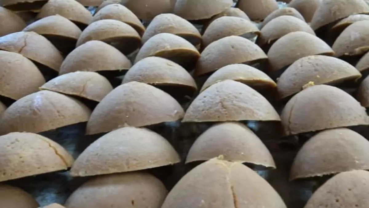 UD Putra Tunggal Kediri bagikan cara membuat gula merah cetak tebu tradisional dengan kapasitas produksi 1 ton sehari. Berpengalaman selama 40 tahun. (Screenshot Youtube)