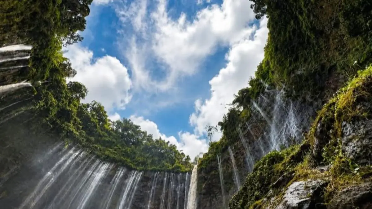 Wisata Tumpak Sewu Lumajang tawarkan jalur tracking mudah dengan tiket murah Rp20.000 bebas pungli. Intip pesona fasilitas dan info rute lengkapnya. (Screenshot Instagram)