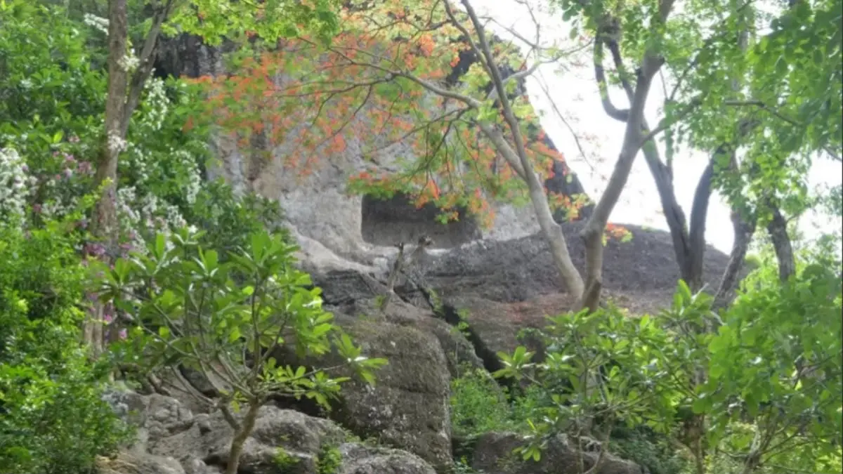 Situs purbakala Gua Pasir Tulungagung yang menjadi tempat tapabrata Ratu Gayatri Majapahit diungkap. Simak misteri makam kuno Syekh Jangkung Maulana.