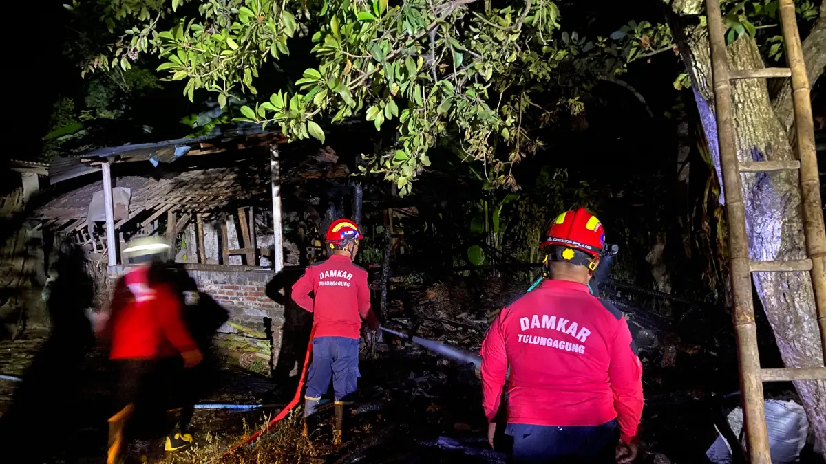 Kebakaran kandang sapi dini hari, Api diduga berasal dari pembakaran sampah yang merembet ke bangunan kandang. (DAMKAR TULUNGAGUNG)
