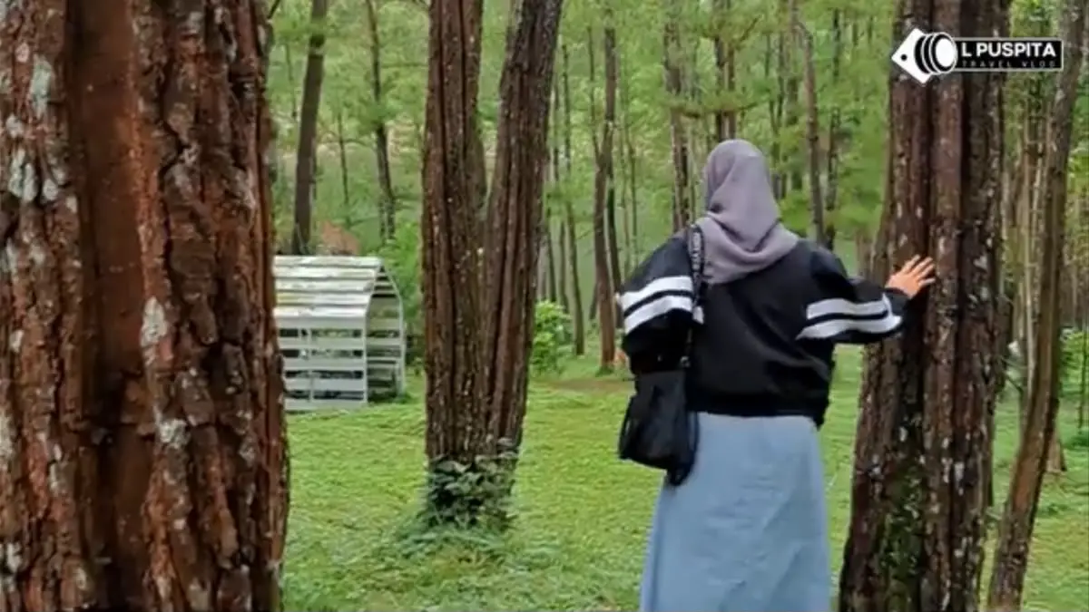 Ranu Gumbolo Tulungagung menawarkan panorama hutan pinus dan camping dengan tiket Rp10 ribu meski suasana saat musim hujan terlihat lebih sepi.