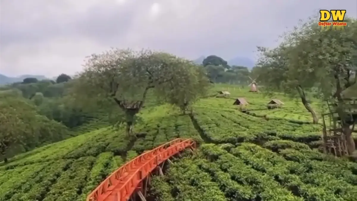 Wisata terbaru di Malang semakin lengkap dengan taman bunga, waterpark, spot healing, dan panorama pegunungan yang cocok untuk liburan keluarga.