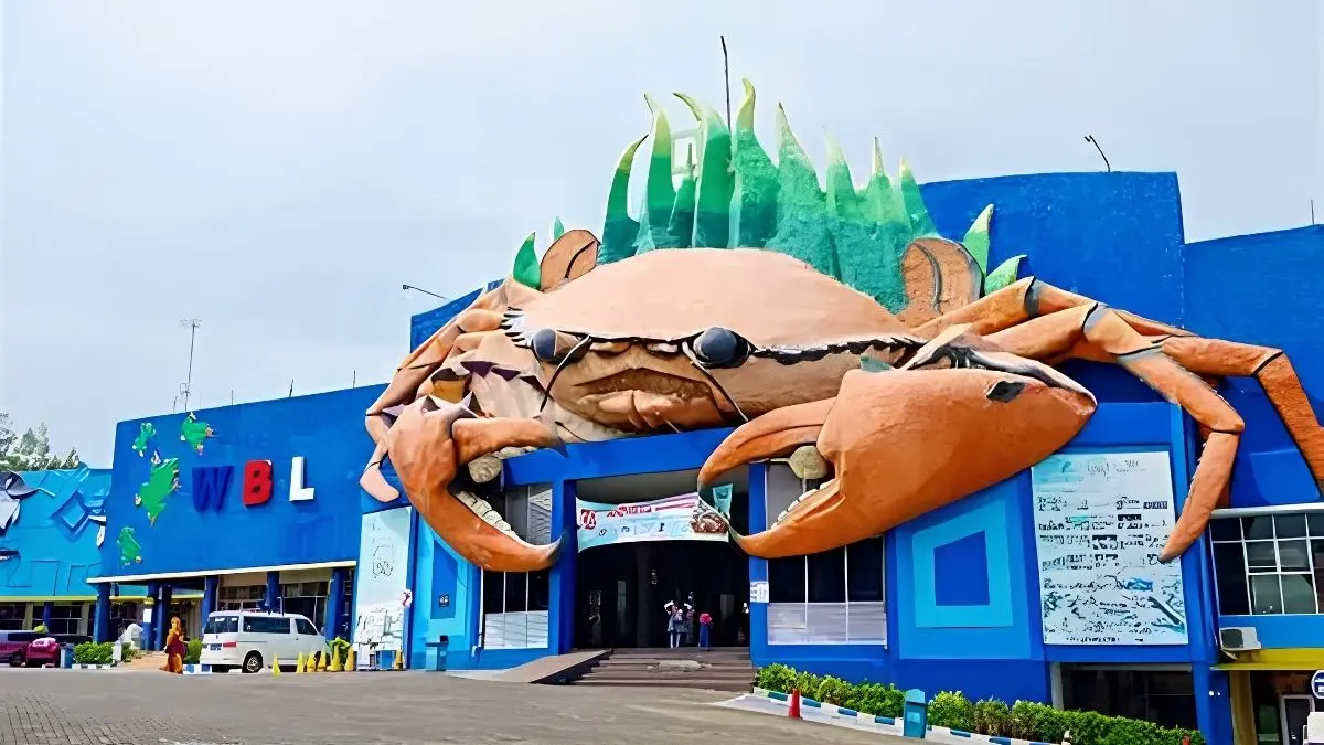 Wisata Bahari Lamongan menawarkan wahana terbaru, aktivitas bahari, harga tiket lengkap, jam operasional, dan tiket bundling Maharani Zoo. (Google)