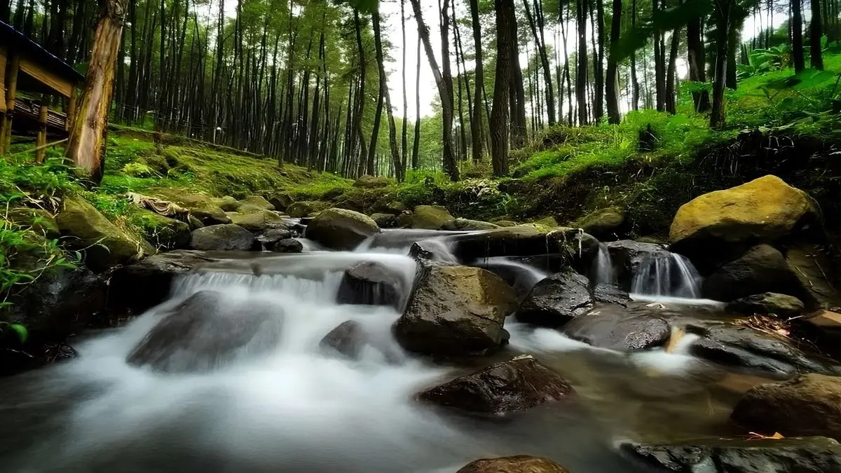 Wisata di Mojokerto menawarkan delapan destinasi terbaru 2025, mulai dari Aone Trawas, Flora Ecopark Pacet, hingga Alas Venus Trawas. (Google)