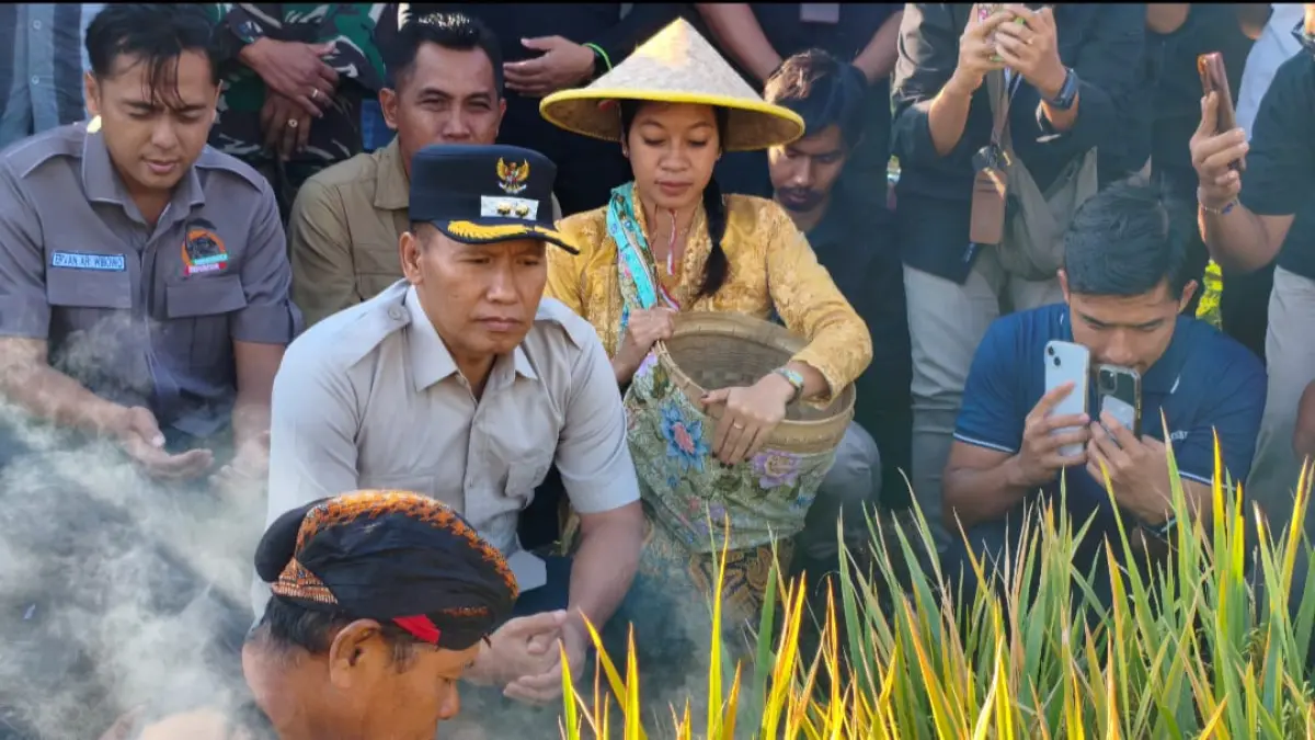 Kebersamaan Plt. Bupati Tulungagung, Forkopimcam, dan petani pada petik padi simbolis Sedekah Bumi Kalidawir, Sabtu (25/07) (PROKOPIM)