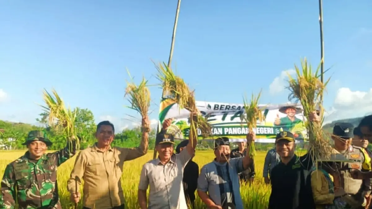 Kebersamaan Plt. Bupati Tulungagung, Forkopimcam, dan petani pada petik padi simbolis Sedekah Bumi Kalidawir, Sabtu (25/07) (PROKOPIM)