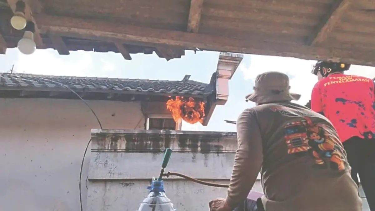 Petugas damkar mengevakusi sarang tawon vespa di salah satu rumah warga Tulungagung beberapa waktu lalu.