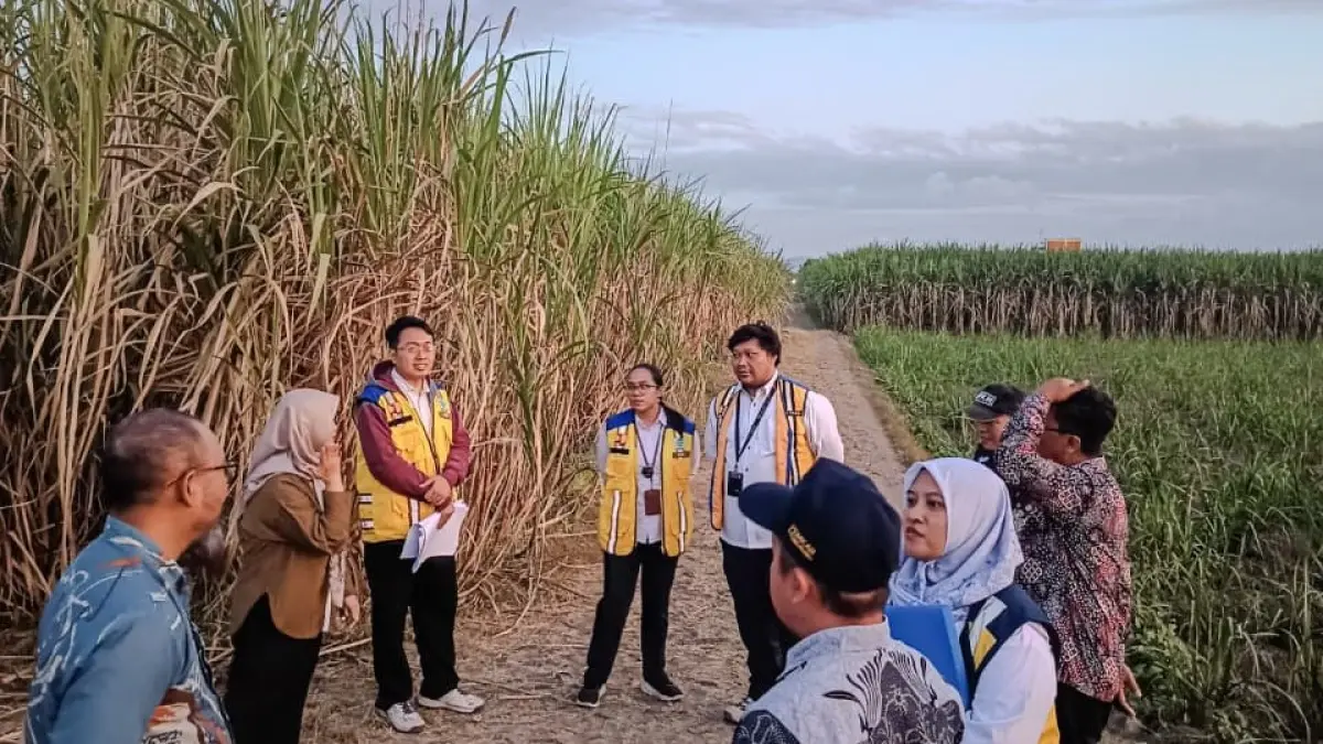 Survei lahan seluas 5,2 hektare di kawasan Jepun yang diusulkan sebagai lokasi pembangunan Sekolah Rakyat. (DINAS SOSIAL TULUNGAGUNG)