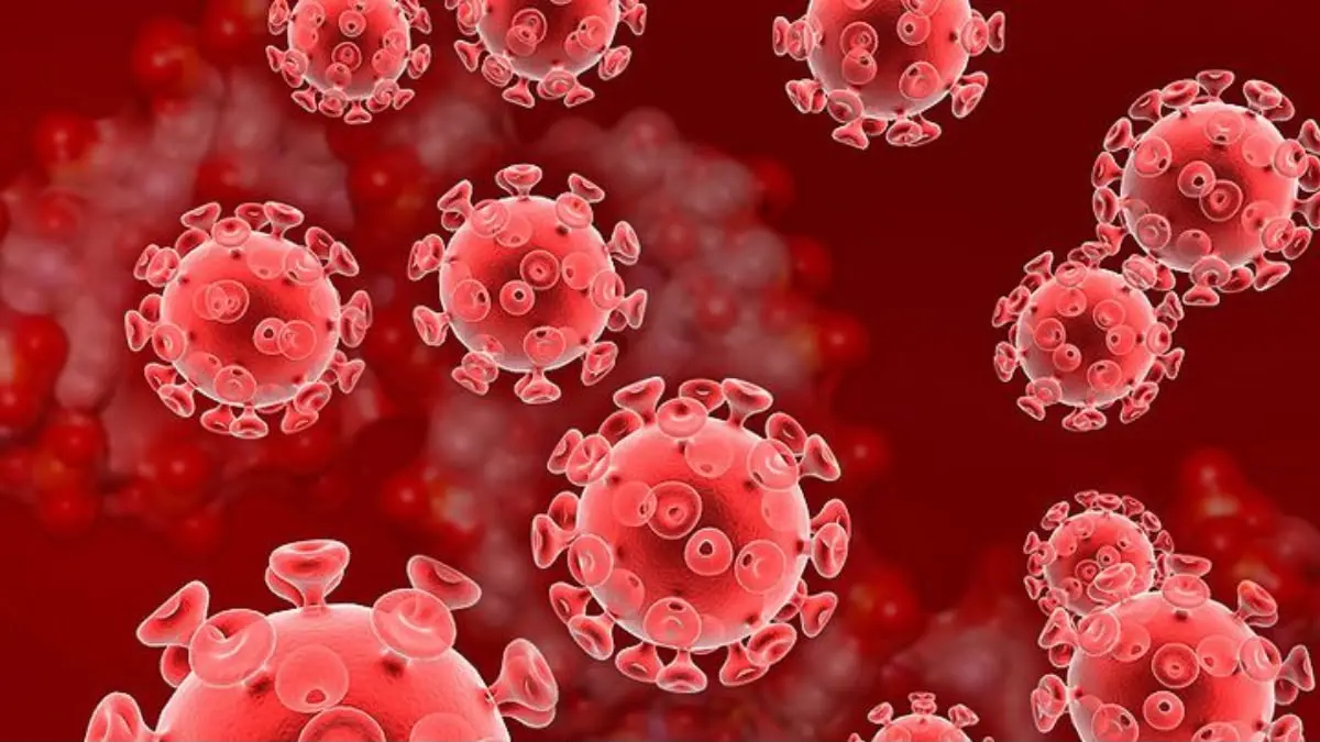 Wabah Parasit Cyclospora dan Salmonella guncang AS! Hampir 2.000 orang terjangkit akibat selada Taco Bell dan telur Kroger. Cek fakta dan imbauan FDA di sini! (Pinterest)
