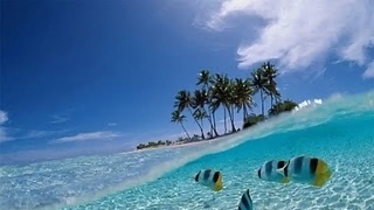 Karimun Jawa menawarkan liburan lengkap dengan pantai indah, snorkeling, open trip, rute transportasi, penginapan, hingga rincian budget perjalanan yang wajib diketahui.