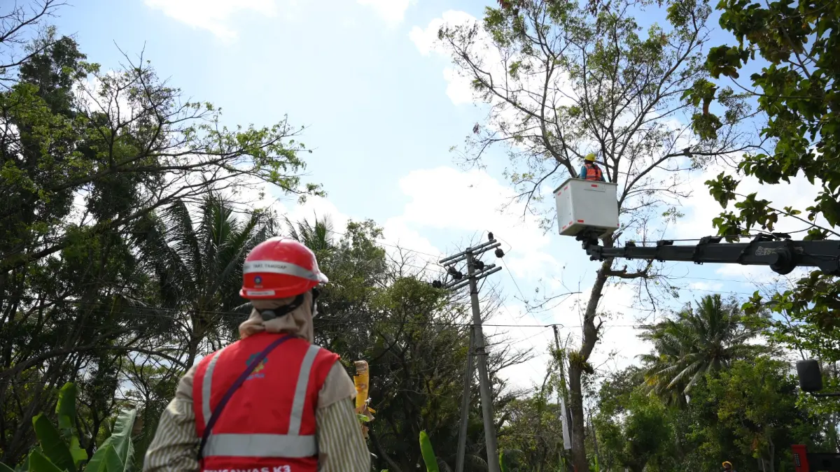 Pada Maraton MAX kali ini, PLN memfokuskan pekerjaan pemeliharaan pada Penyulang Pagerwojo, salah satu penyulang yang menjadi prioritas dalam upaya peningkatan keandalan sistem distribusi listrik di wilayah Tulungagung.