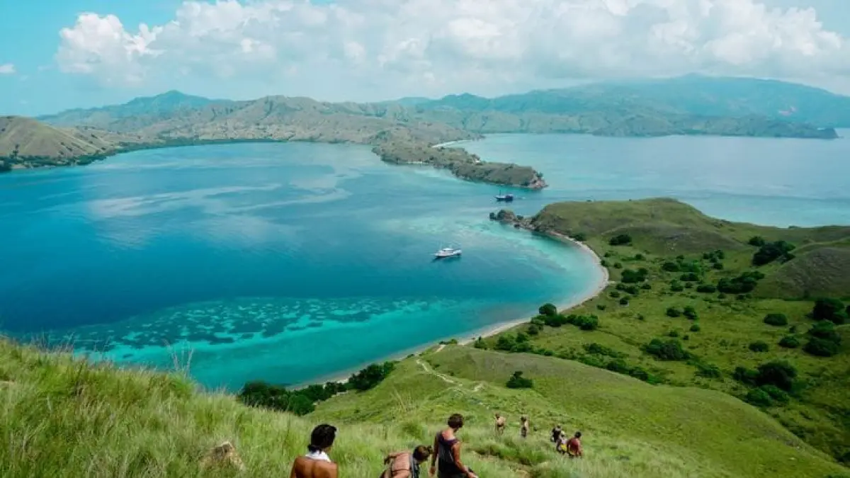 Pulau Komodo menjadi habitat naga terakhir di bumi dengan fakta unik, teknik berburu mematikan, serta panorama savana dan bawah laut yang mendunia.