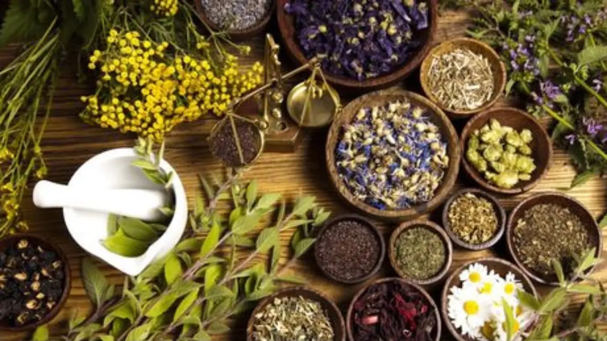 Cobain 6 minuman herbal untuk infeksi paru-paru ini! Terbukti ampuh redakan sesak napas, cairkan dahak, dan percepat penyembuhan secara alami.(Pinterest)