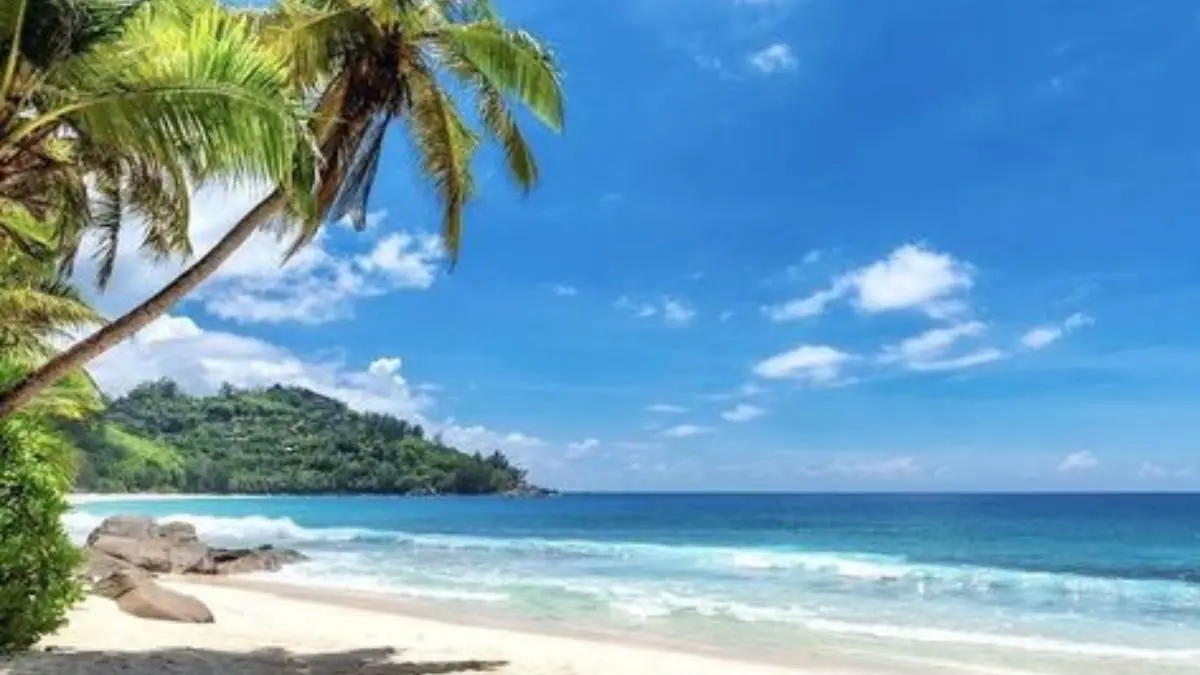 Rekomendasi wisata pantai di Blitar paling hits dan eksotis! Nikmati pesona Raja Ampat-nya Blitar, spot camping tersembunyi, hingga kuliner ikan bakar segar. Cek daftarnya di sini! (Pinterest)