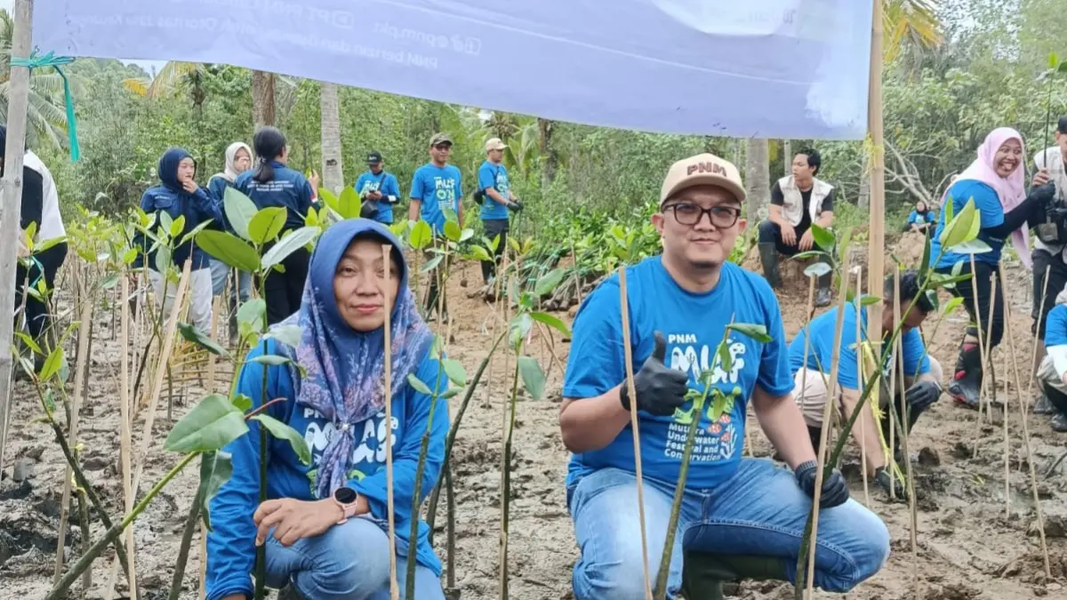 PNM Cabang Tulungagung menanam sebanyak 1.000 bibit mangrove.