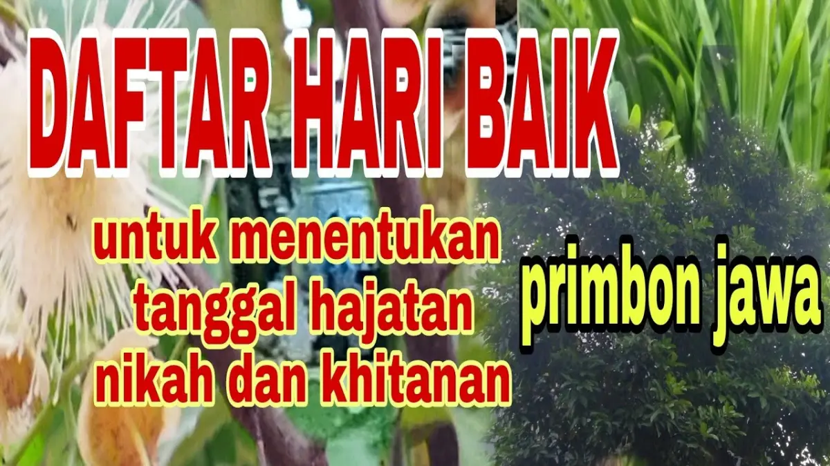 Hari baik hajatan menurut primbon Jawa mencakup daftar hari yang dianggap baik, kurang bagus, hingga pantangan untuk pernikahan dan khitanan. (Youtube. com)