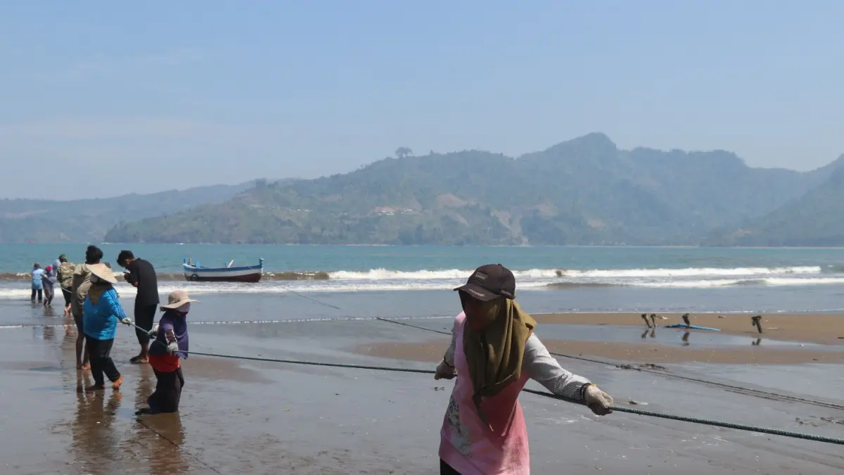 Jaring Tarik Pantai Sidem Jadi Sumber Penghasilan Musiman Warga.(RAHIIQ AL BACHRI/RADAR TULUNGAGUNG)