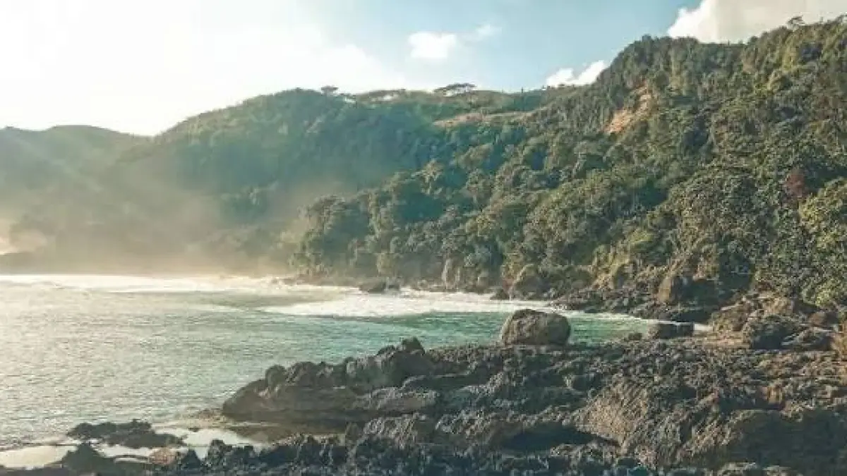 Rute Pantai Kedung Tumpang Tulungagung 2026 cukup mudah, tetapi ada jalan rusak. Simak akses, jarak, dan tarif parkir Rp5.000.