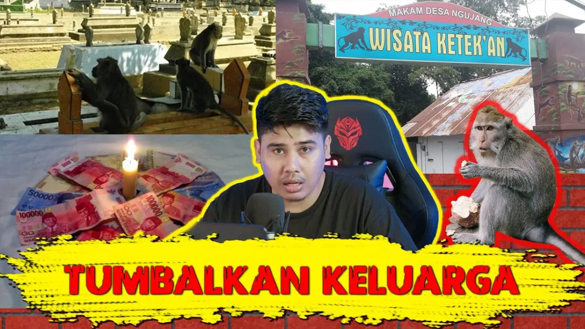 Pesugihan Monyet Tulungagung menyimpan cerita mistis tentang monyet di makam Ngunjang, ritual kekayaan, tumbal, hingga legenda dua santri. (Youtube. com)