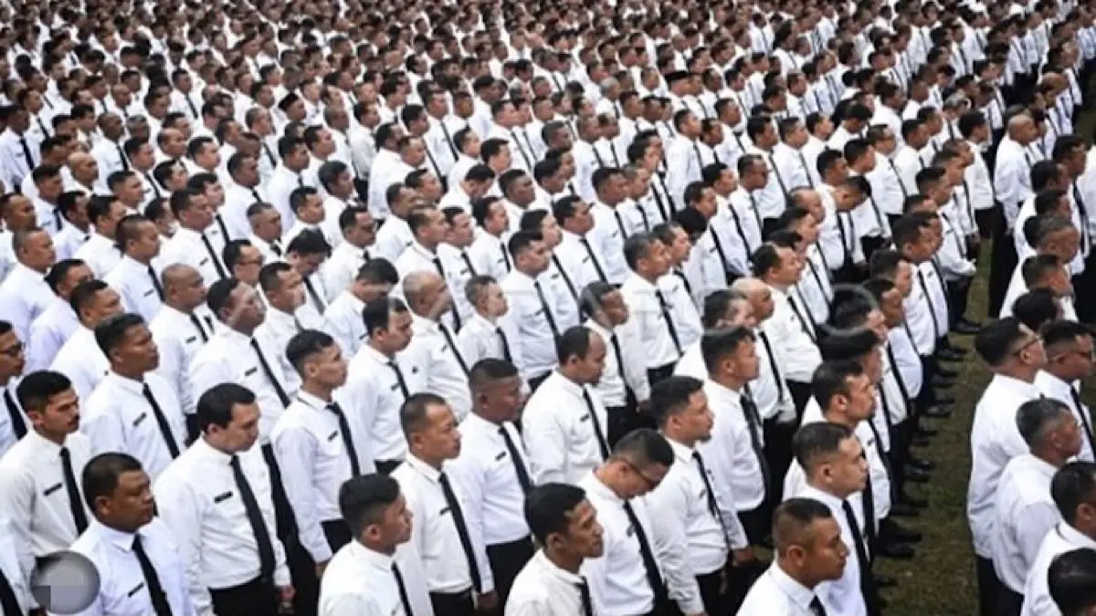 Nasib PPPK paruh waktu 2026 menjadi sorotan. Ada tiga skenario yang disebut, tetapi baru perpanjangan kontrak yang dijelaskan secara terang.(pinterest)
