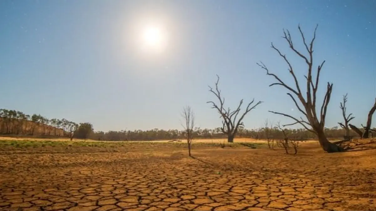 El Nino ekstrem berpotensi memicu kekeringan dan berdampak pada pertanian, air bersih, kebakaran hutan, energi hingga perikanan.(pinterest)