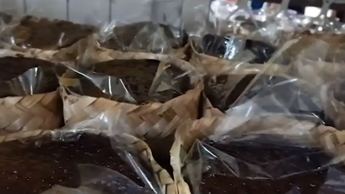 Jenang Tulungagung Pak Lasimun bertahan tiga generasi. Berawal dari jualan Rp500 di pasar, kini usaha keluarga ini terus melestarikan kuliner tradisional.(SC Youtube)