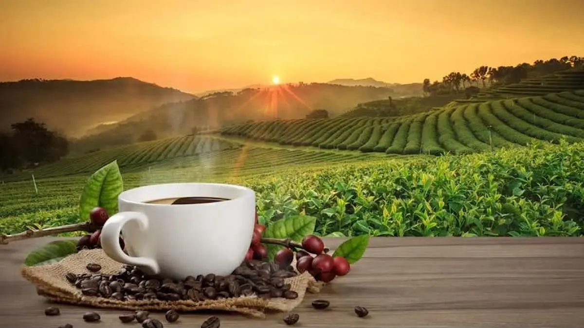 Resep sirup kopi gula merah ini cuma butuh 3 bahan utama. Praktis dibuat di rumah dan bisa jadi ide jualan es kopi susu.(pinterest)