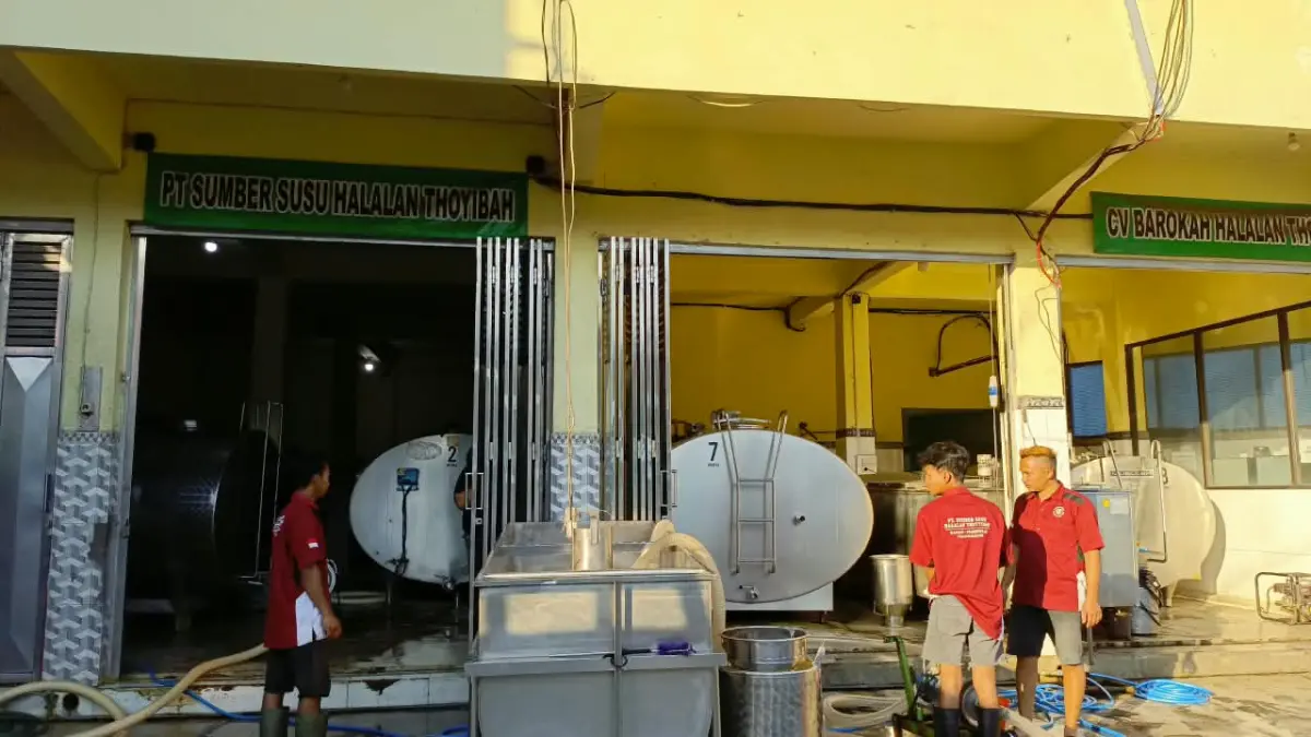 Produksi susu sapi peternak Tulungagung kini memiliki pasar yang lebih pasti setelah diserap sejumlah industri pengolahan.(RAHIIQ AL BACHRI/RADAR TULUNGAGUNG)